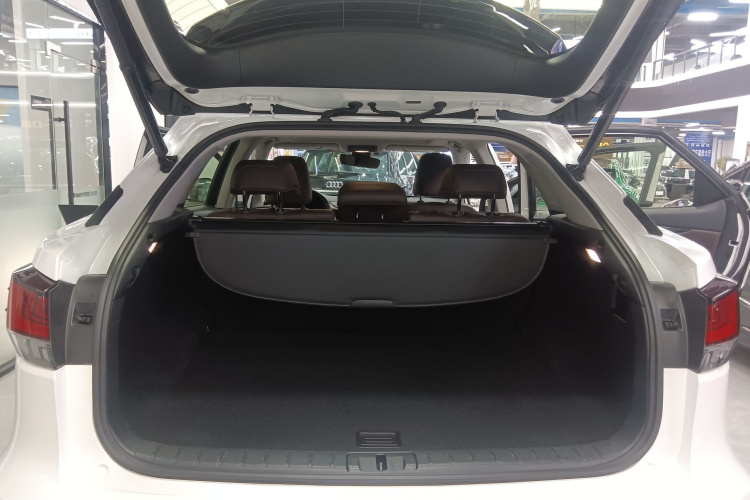 雷克萨斯RX 2020款 改款 300 两驱舒适版机舱底盘23