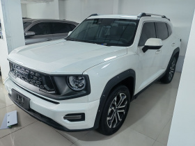 哈弗大狗 PLUS 2023款 2.0T 四驱潮野Plus