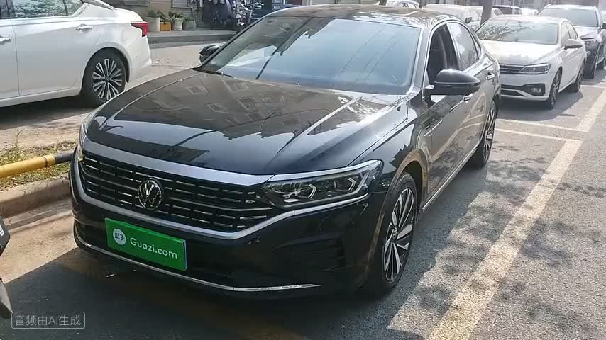 大众 帕萨特 2023款 改款 380TSI 豪华版检测视频1