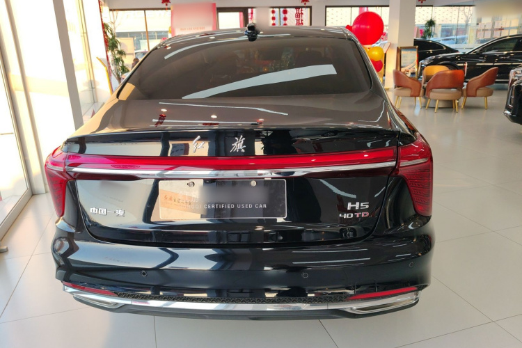 红旗H5 2025款 2.0T 自动旗领版车身外观6