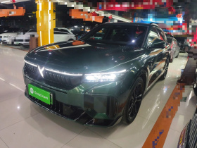 岚图汽车 岚图FREE 2025款 318 318km 后驱环游版