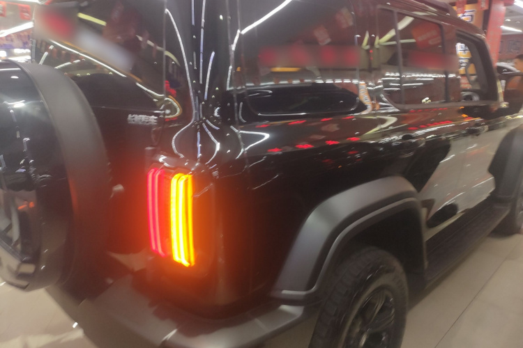 坦克300 2024款 2.0T 挑战者车身外观7