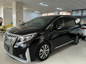 广汽传祺 传祺M8 2020款 390T 尊贵版