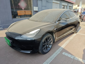 特斯拉 Model 3 2019款 标准续航后驱升级版