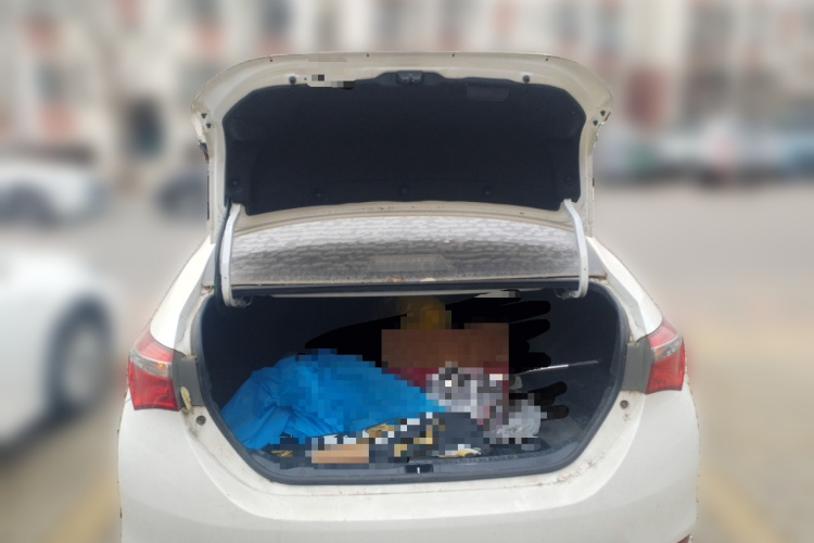 丰田 卡罗拉 2017款 改款 1.2T S-CVT GL-i中控内饰23