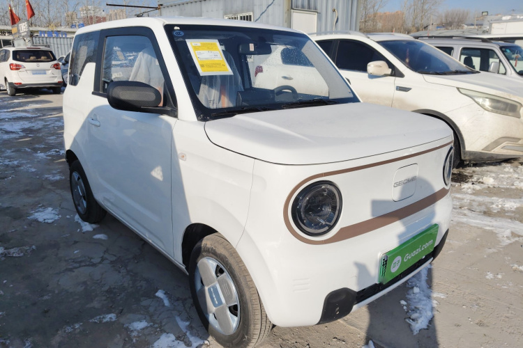 吉利银河 2024款 熊猫mini 200km 耐力熊车身外观6002