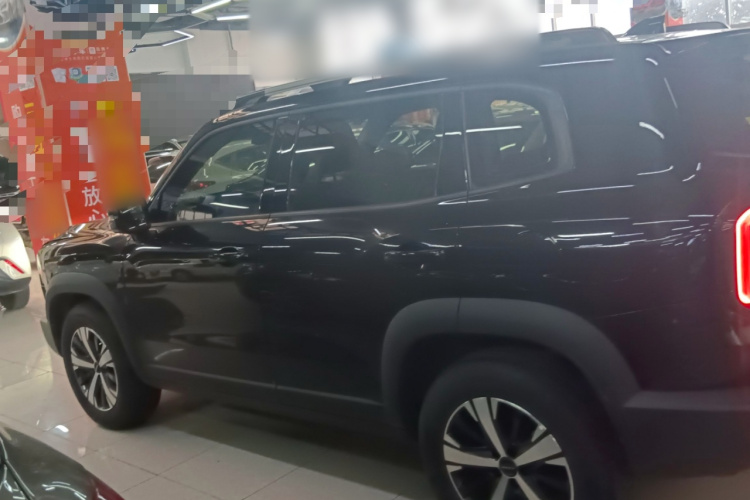 哈弗大狗 2021款 1.5T DCT两驱拉布拉多版车身外观4