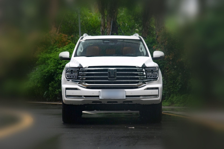 坦克500新能源 2026款 Hi4-T 标准版车身外观6006