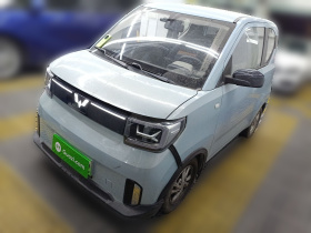 五菱汽车 宏光MINIEV 2020款 悦享款 磷酸铁锂