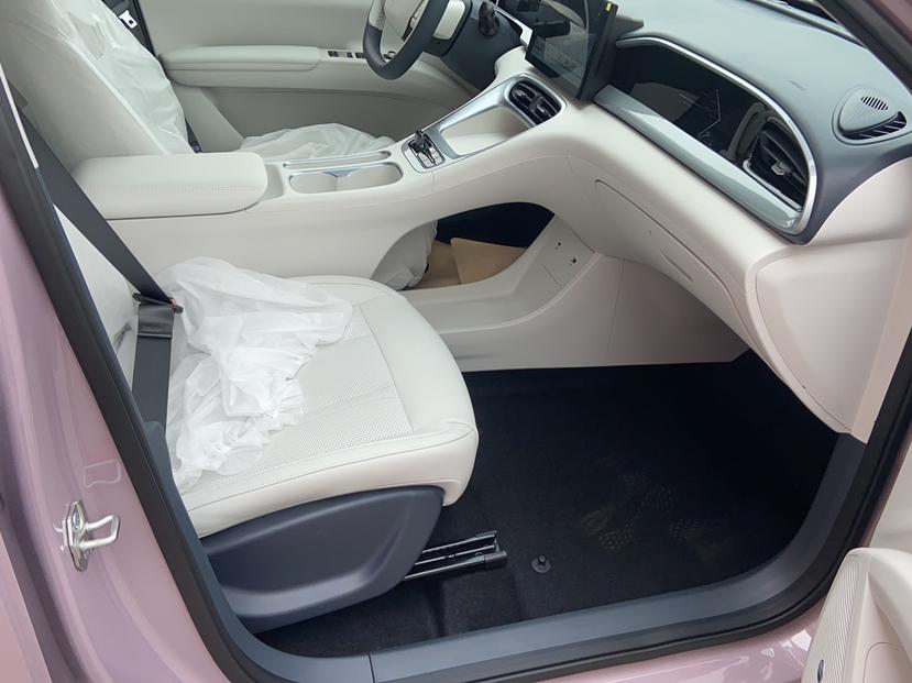 吉利汽车 星愿 2025款 310km 青春版