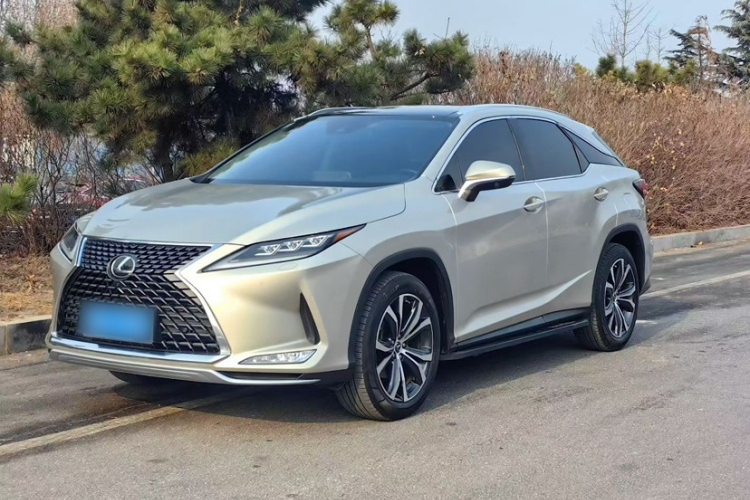 雷克萨斯RX 2020款 改款 300 四驱典雅版车身外观6003