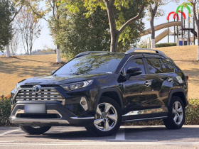 丰田 RAV4荣放 2020款 双擎  2.5L E-CVT两驱精英版
