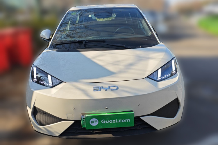 比亚迪 海鸥 2025款 智驾版 305km 自由版车身外观2