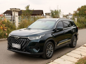 奇瑞 瑞虎8 PRO 2024款 冠军版 290T 两驱闪耀版 5座