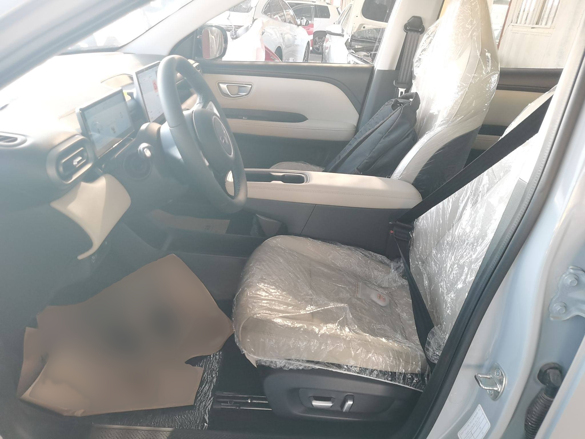 五菱汽车 五菱缤果PLUS 2024款 330km 五座版