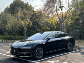 鸿蒙智行 享界S9 2025款 增程 Max