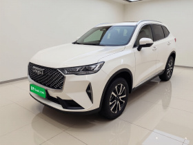 哈弗H6 2021款 第三代 1.5T 自动两驱Max