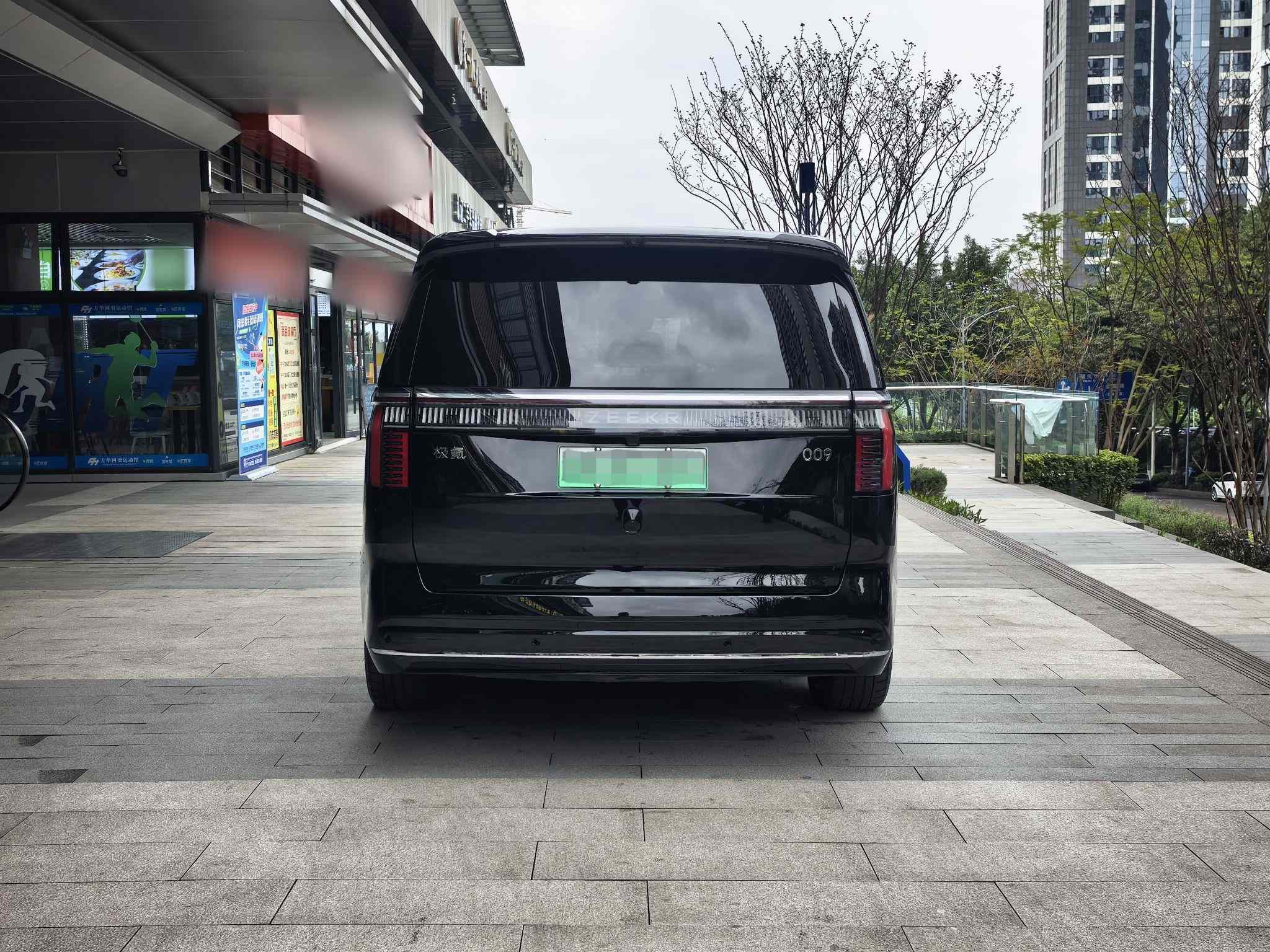 极氪009 2024款 七座过道版四驱 108kWh(3)