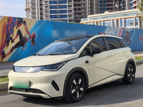 比亚迪 海豚 2025款 智驾版 410km 时尚版