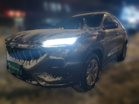 长安欧尚X5 2021款 改款 1.6L 手动豪华型