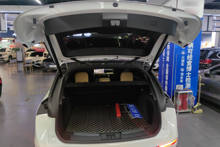 林肯 冒险家 2020款 2.0T 四驱尊雅版局部细节23