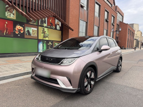 比亚迪 海豚 2021款 401km 骑士版