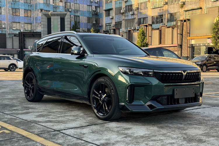 岚图汽车 岚图FREE 2024款 超长续航智驾版车身外观6003