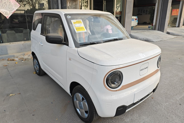 吉利银河 2024款 熊猫mini 200km 耐力熊车身外观6002