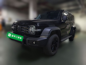 坦克300 2024款 2.0T 征服者