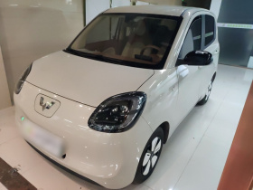 五菱汽车 宏光MINIEV 2025款 四门版 进阶款