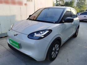 五菱汽车 五菱缤果 2024款 333km 悦享款