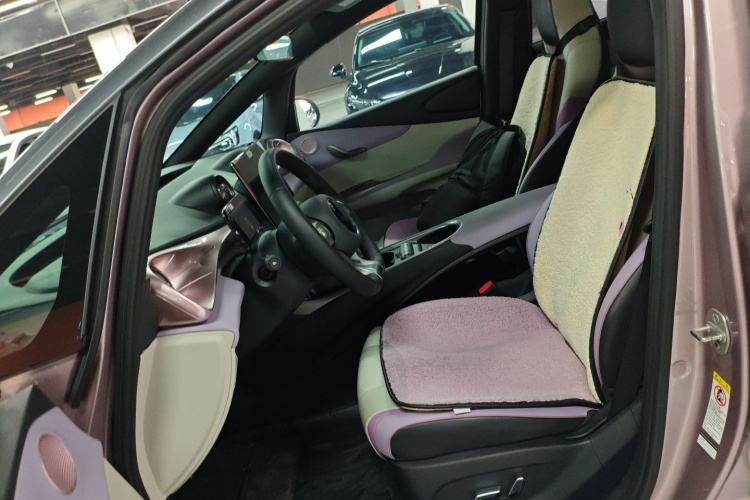 比亚迪 海豚 2021款 401km 骑士版局部细节19