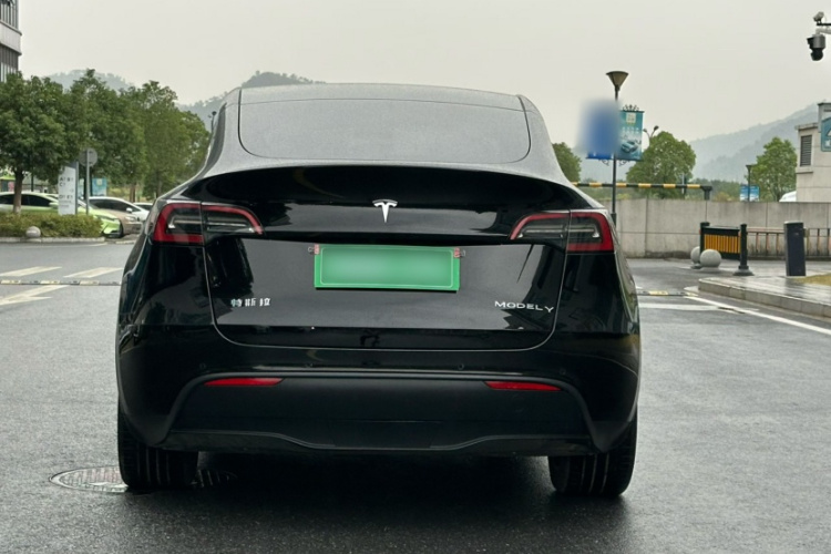 特斯拉 Model Y 2021款 标准续航后驱版车身外观6006