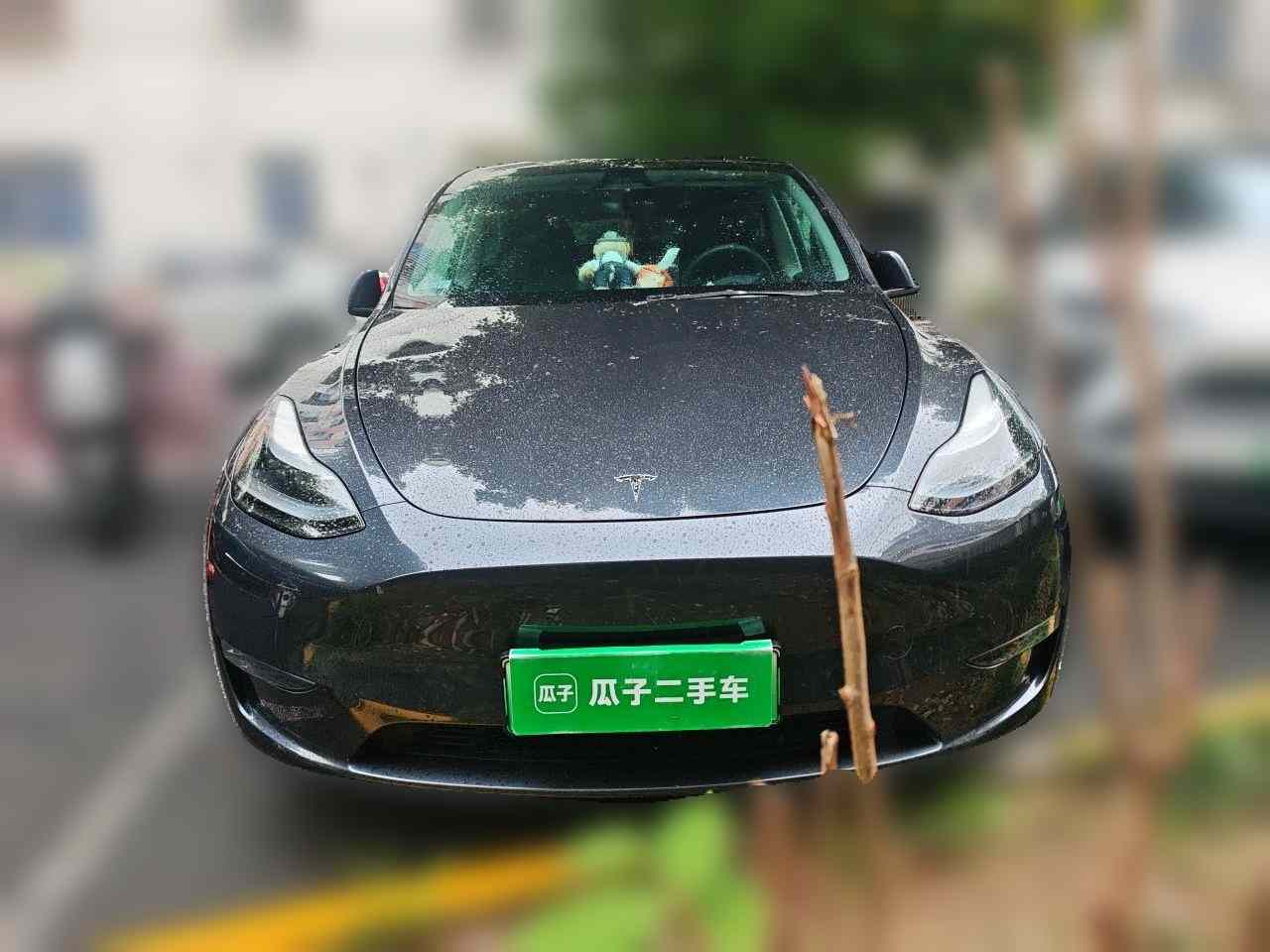 特斯拉 Model Y 2024款 长续航全轮驱动版(2)