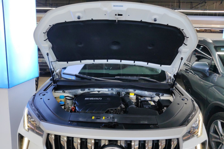 广汽传祺 传祺GS4 PLUS 2022款 390T 自动星际版机舱底盘24