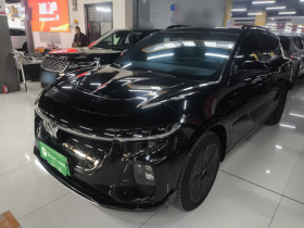 岚图汽车 岚图知音 2024款 四驱全球版