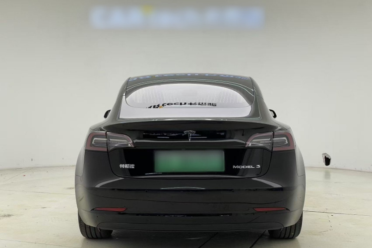 特斯拉 Model 3 2020款 标准续航后驱升级版车身外观6005