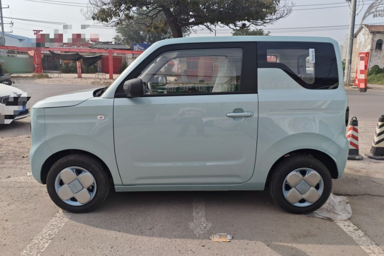 吉利银河 2024款 熊猫mini 200km 耐力熊车身外观6003
