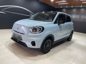 零跑汽车 零跑T03 2023款 310轻享版