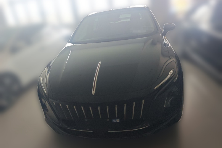 红旗E-QM5 2023款 基础出行版车身外观2