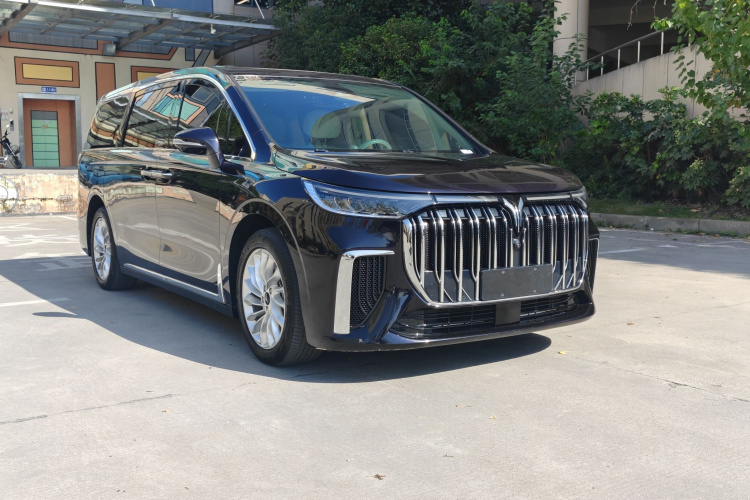 岚图汽车 岚图梦想家 2022款 低碳版 想+智驾包车身外观6006