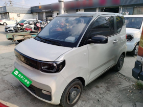 五菱汽车 宏光MINIEV 2022款 马卡龙时尚款 磷酸铁锂