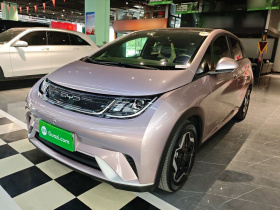 比亚迪 海豚 2021款 405km 时尚版