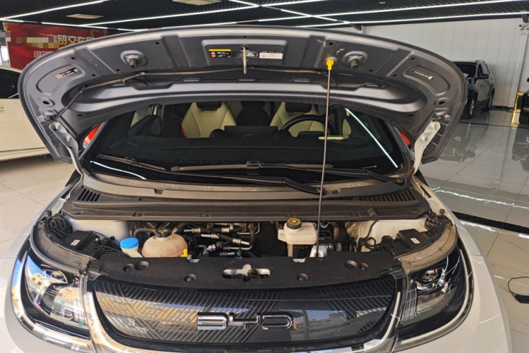 比亚迪 海豚 2021款 405km 时尚版机舱底盘24