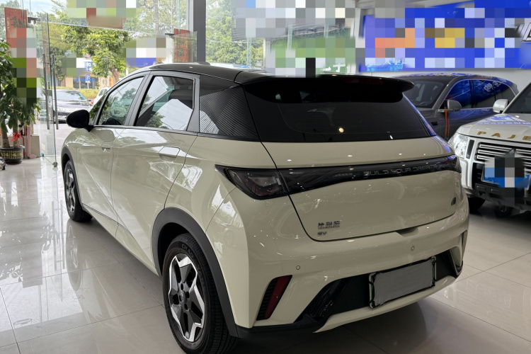 比亚迪 海豚 2021款 405km 自由版车身外观6008