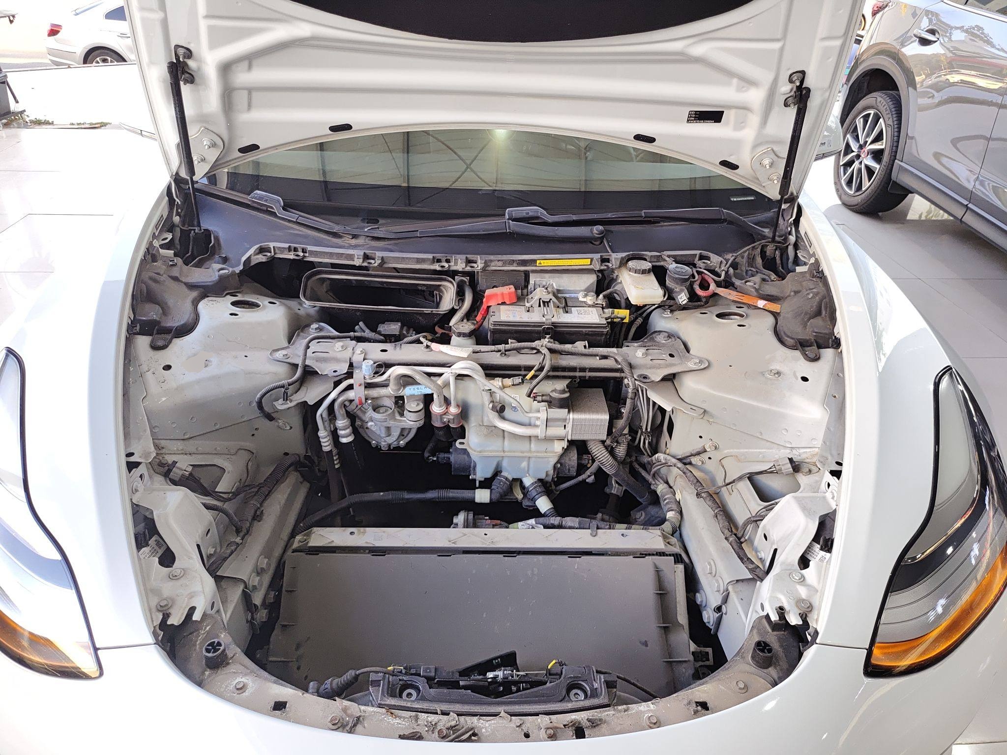 特斯拉 Model 3 2019款 标准续航后驱升级版