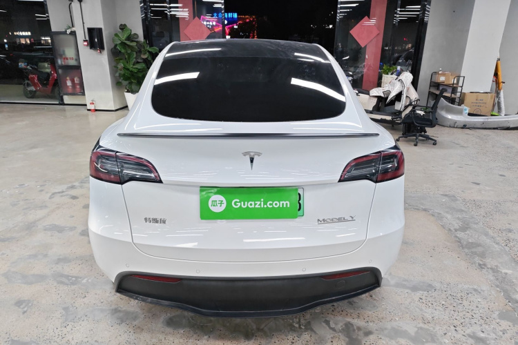 特斯拉 Model Y 2021款 Performance高性能全轮驱动版车身外观6