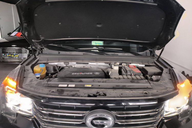 广汽传祺 传祺GS8 2021款 390T 两驱暗夜骑士版局部细节24