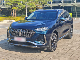 魏牌 拿铁DHT-PHEV 2022款 1.5T 四驱超大杯