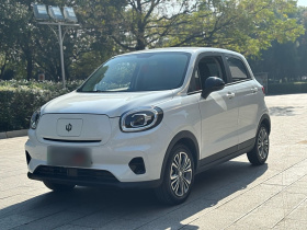 零跑汽车 零跑T03 2024款 310舒享版